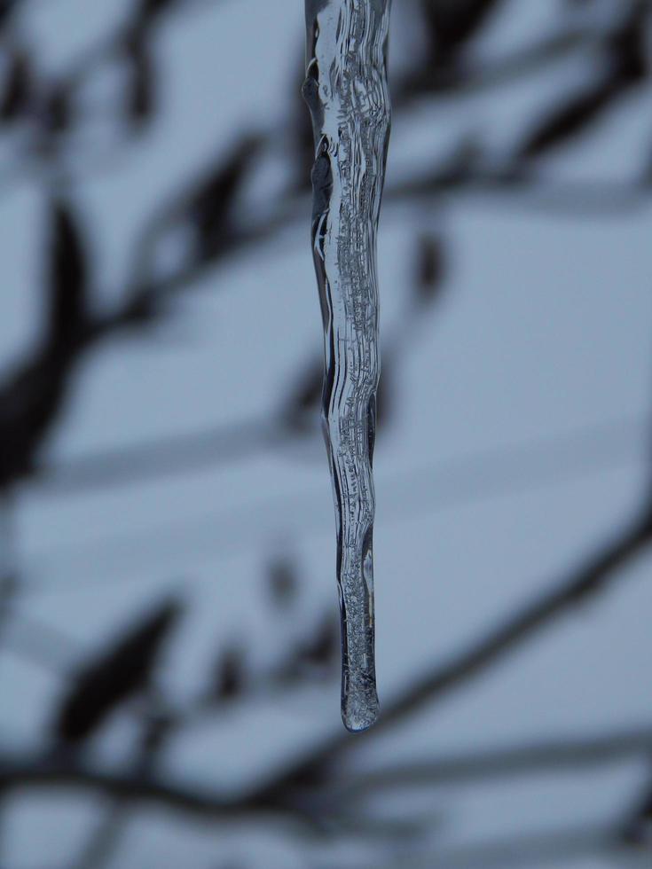 Winter icicles hang from the roof of the building photo