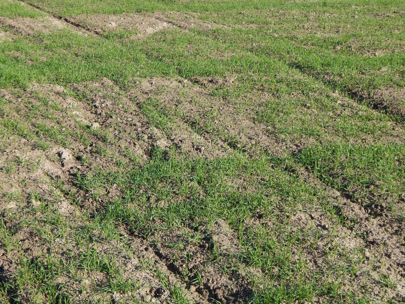 tractor arado campo y tierra cultivable foto