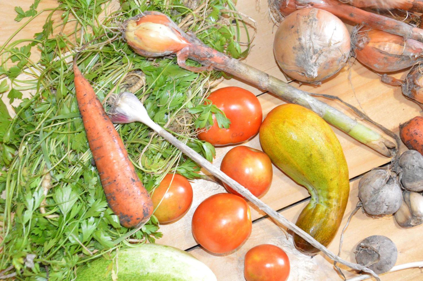 verduras cultivadas de forma independiente en el país foto