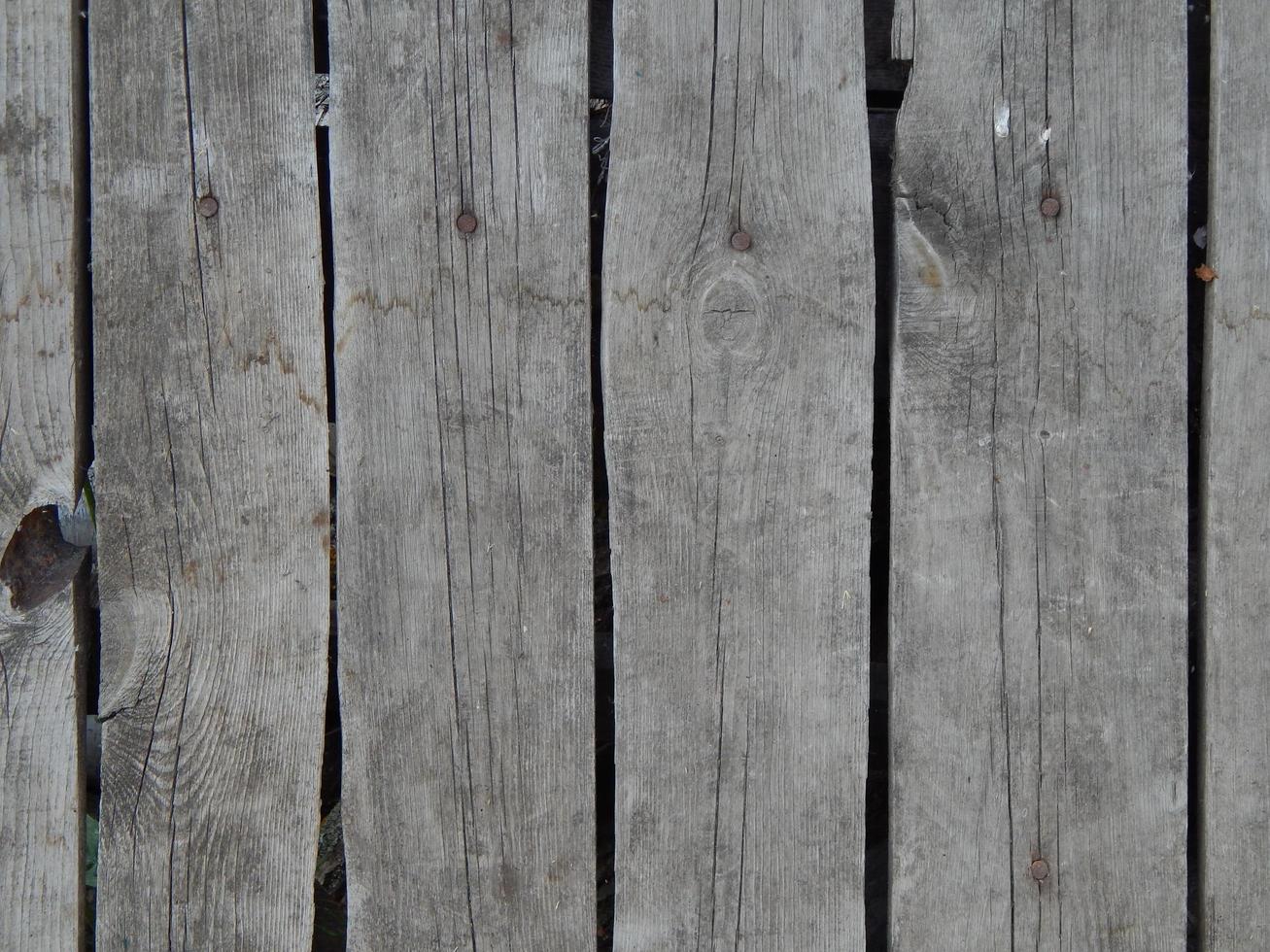 textura de madera tala de árboles de madera foto