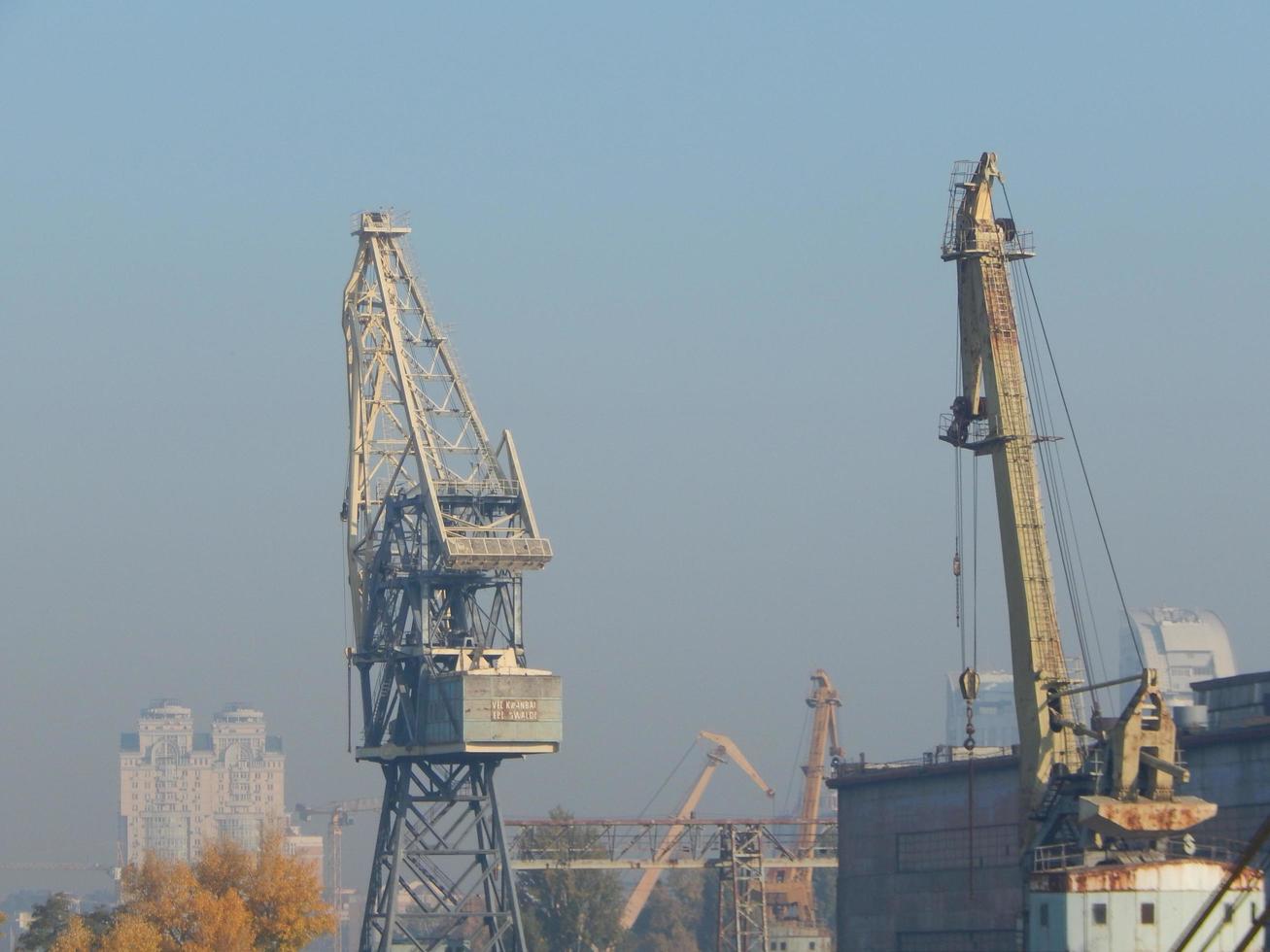 Port cranes for cargo transportation in the port logistics complex photo