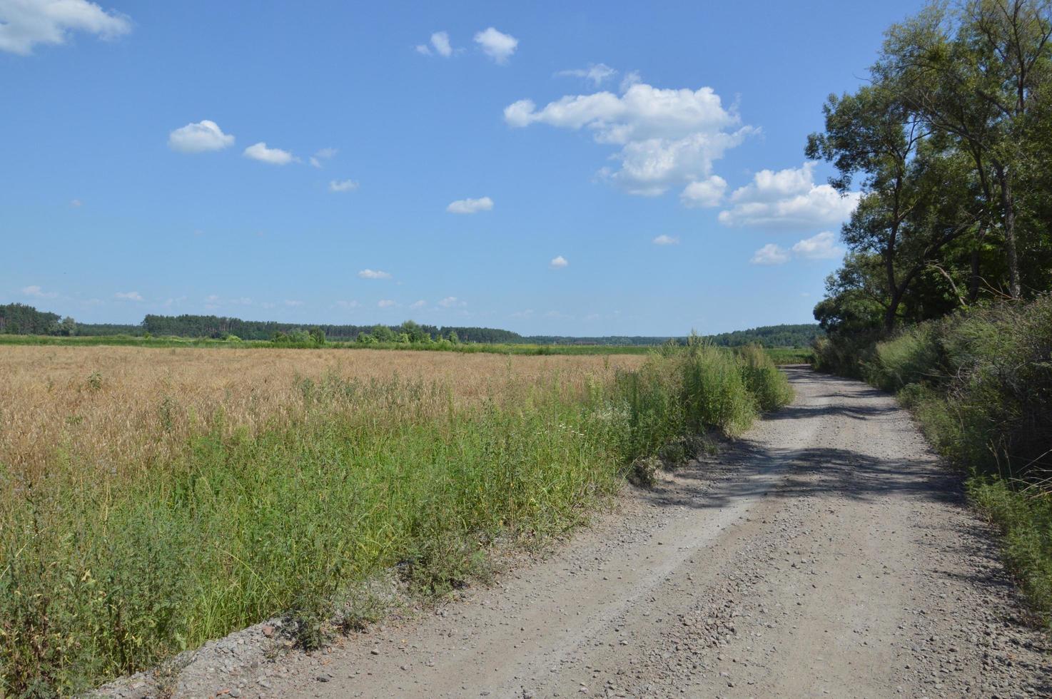 Panorama of landscape fields and roads in the village photo