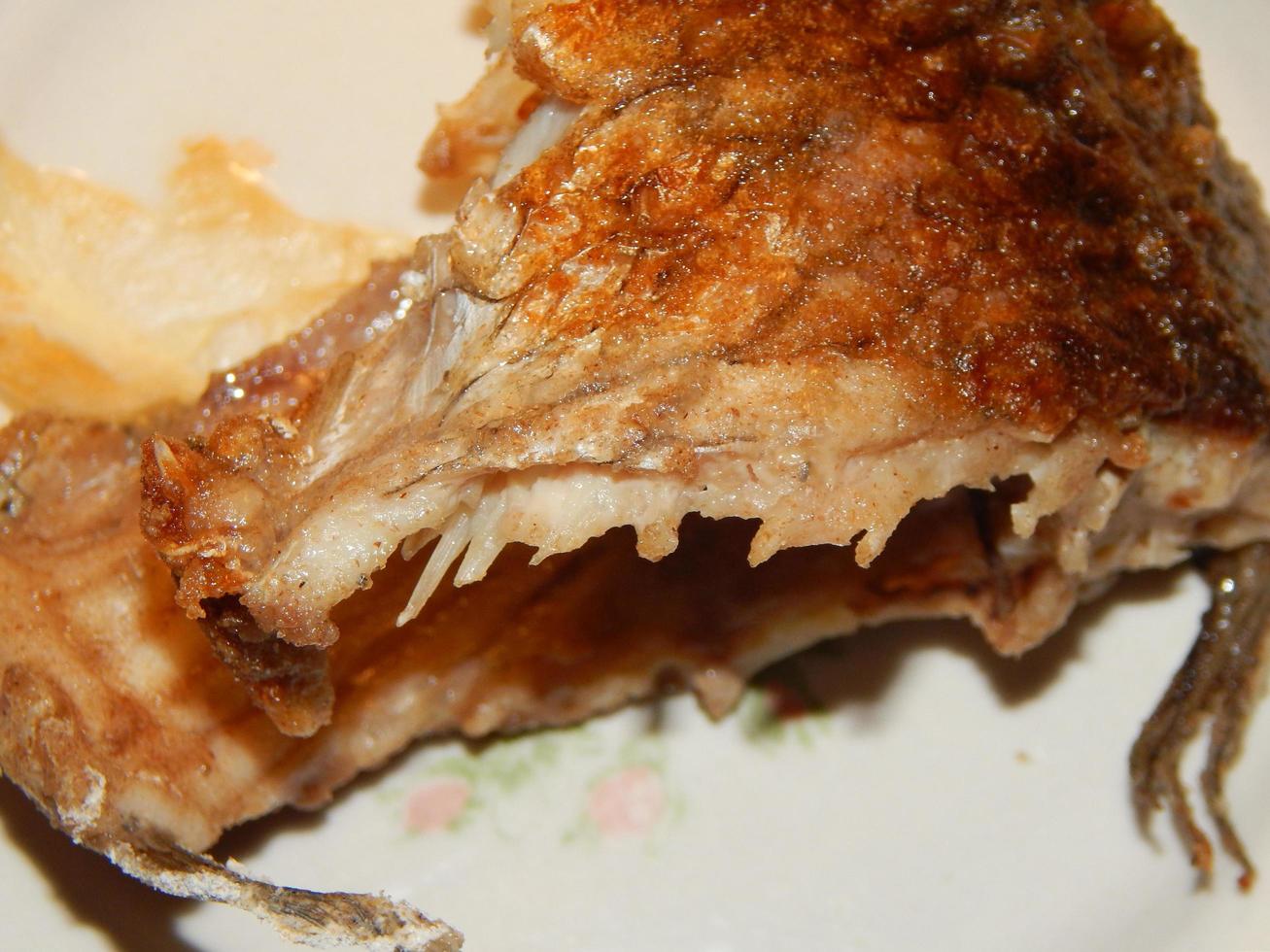 Frying fish in a pan photo