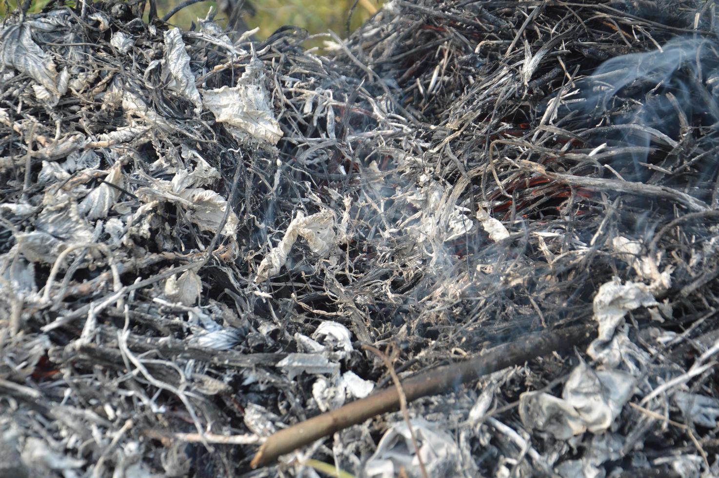 A bonfire with dry plants is burning on a land plot with fire and smoke photo