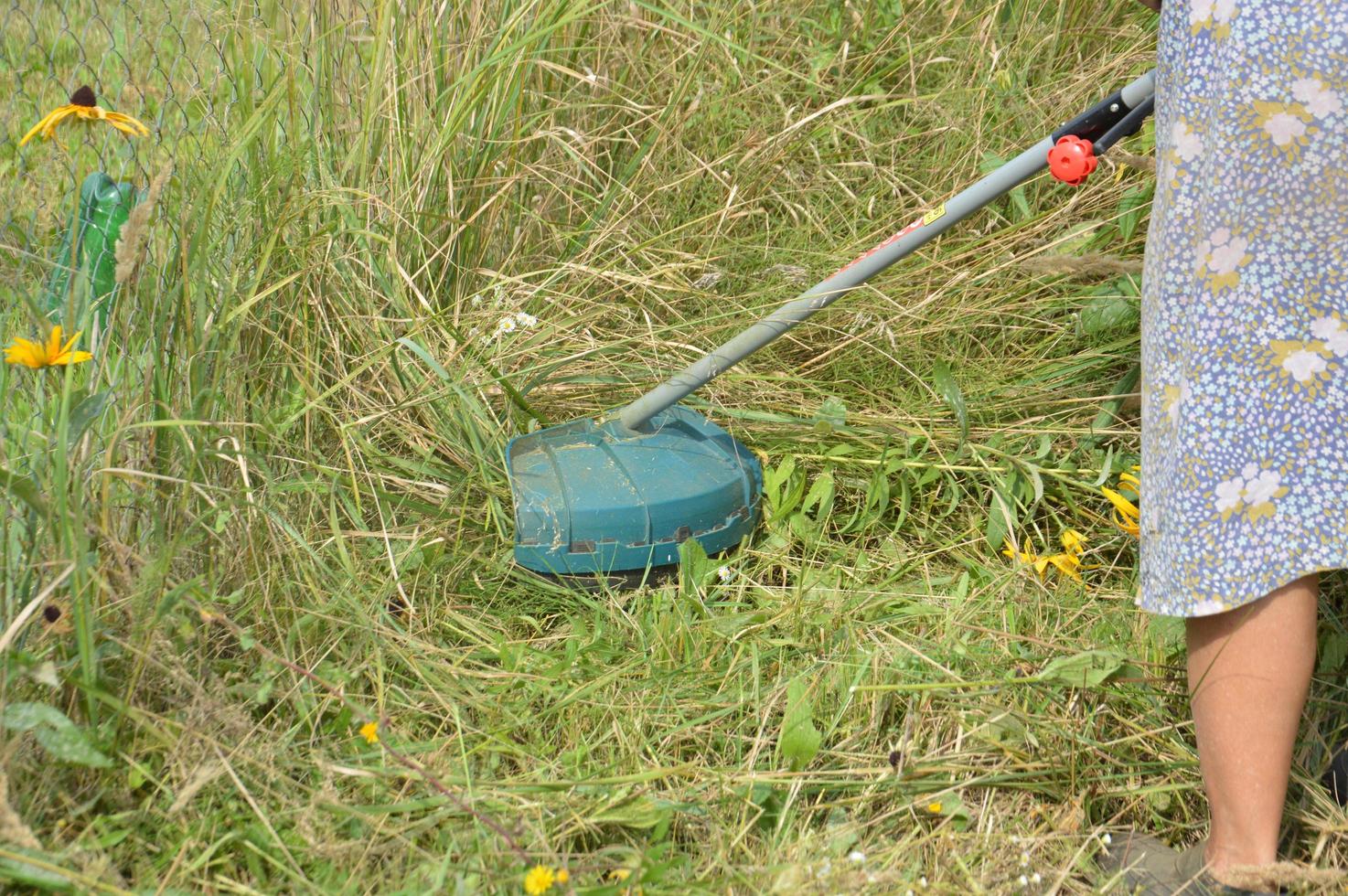 Trimmer and its parts for mowing grass photo