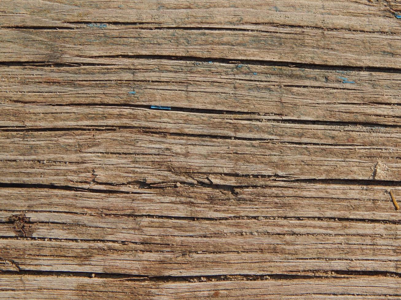 textura de madera tala de árboles de madera foto