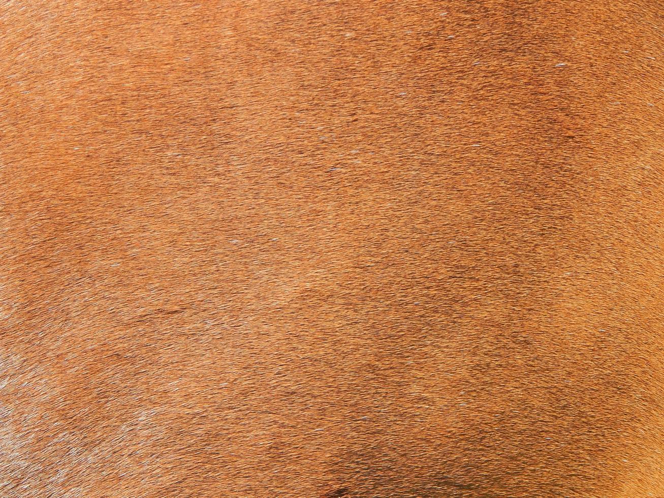 Graphic resources design composition and texture photo