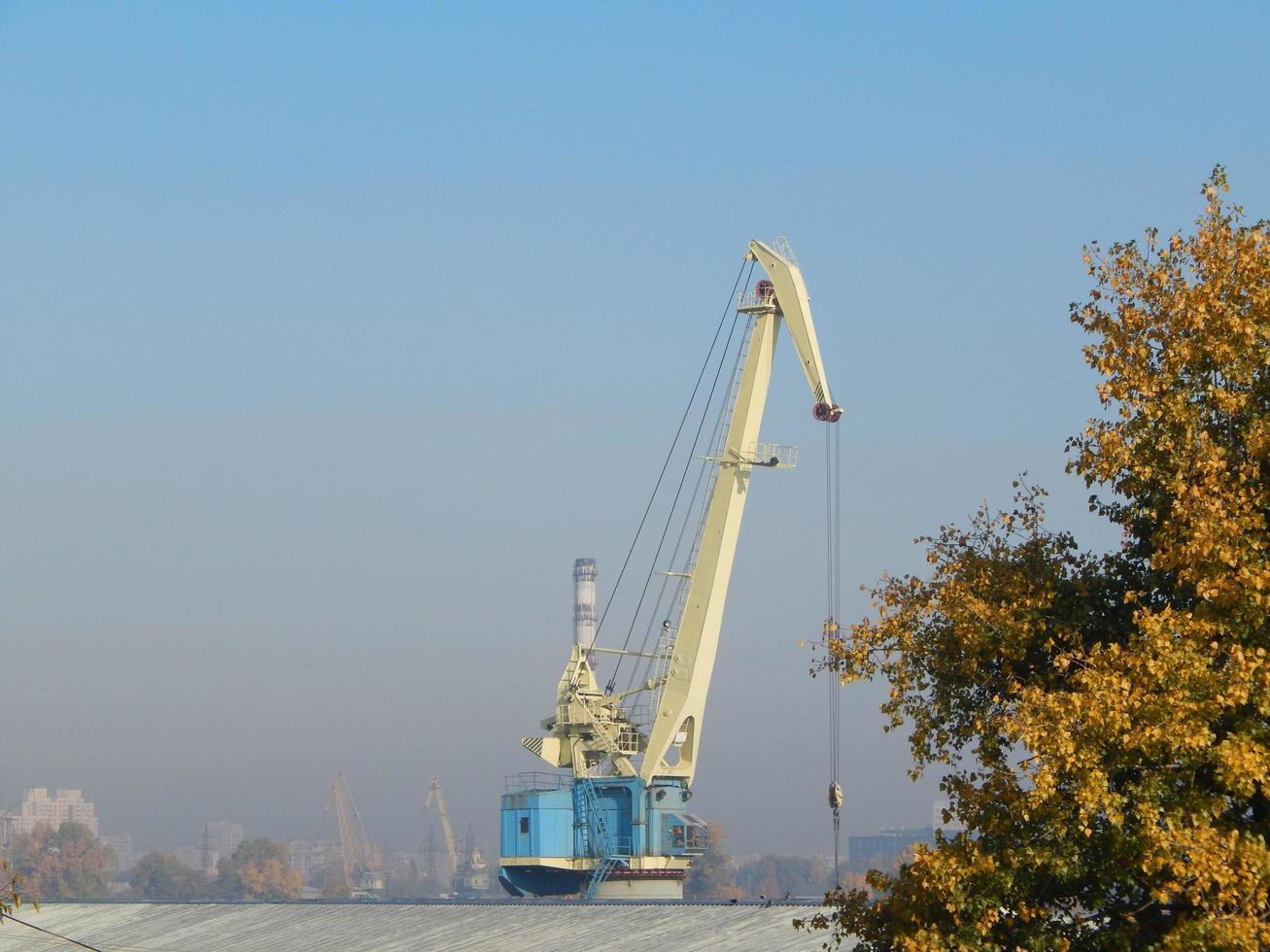 Port cranes for cargo transportation in the port logistics complex photo