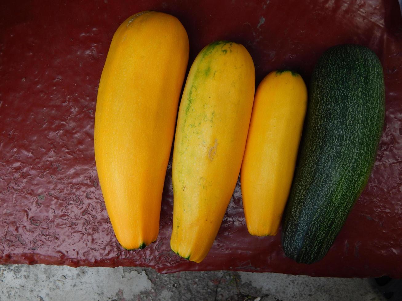 The food in the garden and frehly vegetable photo