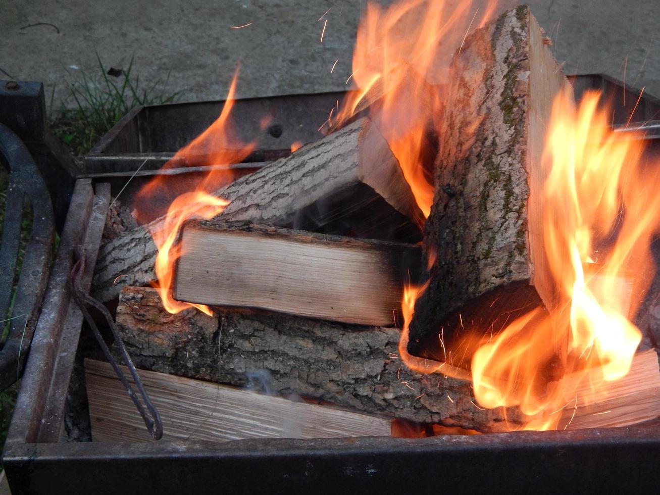 El fuego arde en el bosque sobre madera. foto