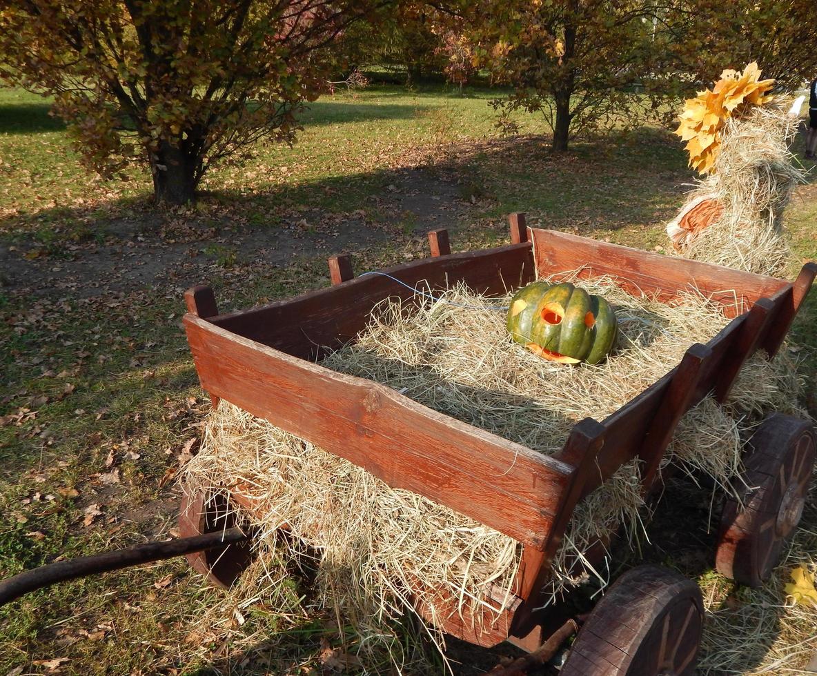 Halloween holiday day carved pumpkin photo