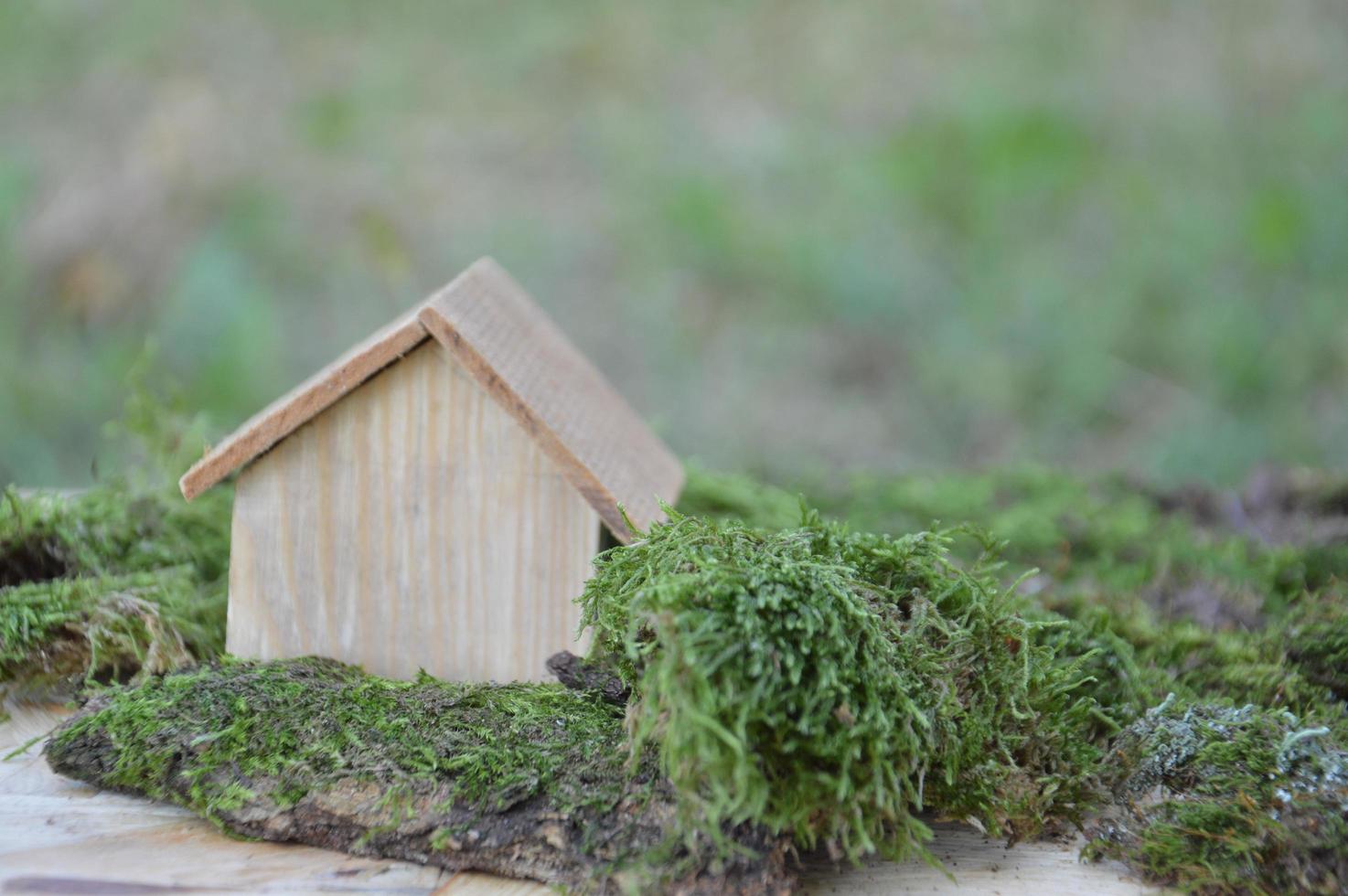 Model of a wooden house as a family property photo