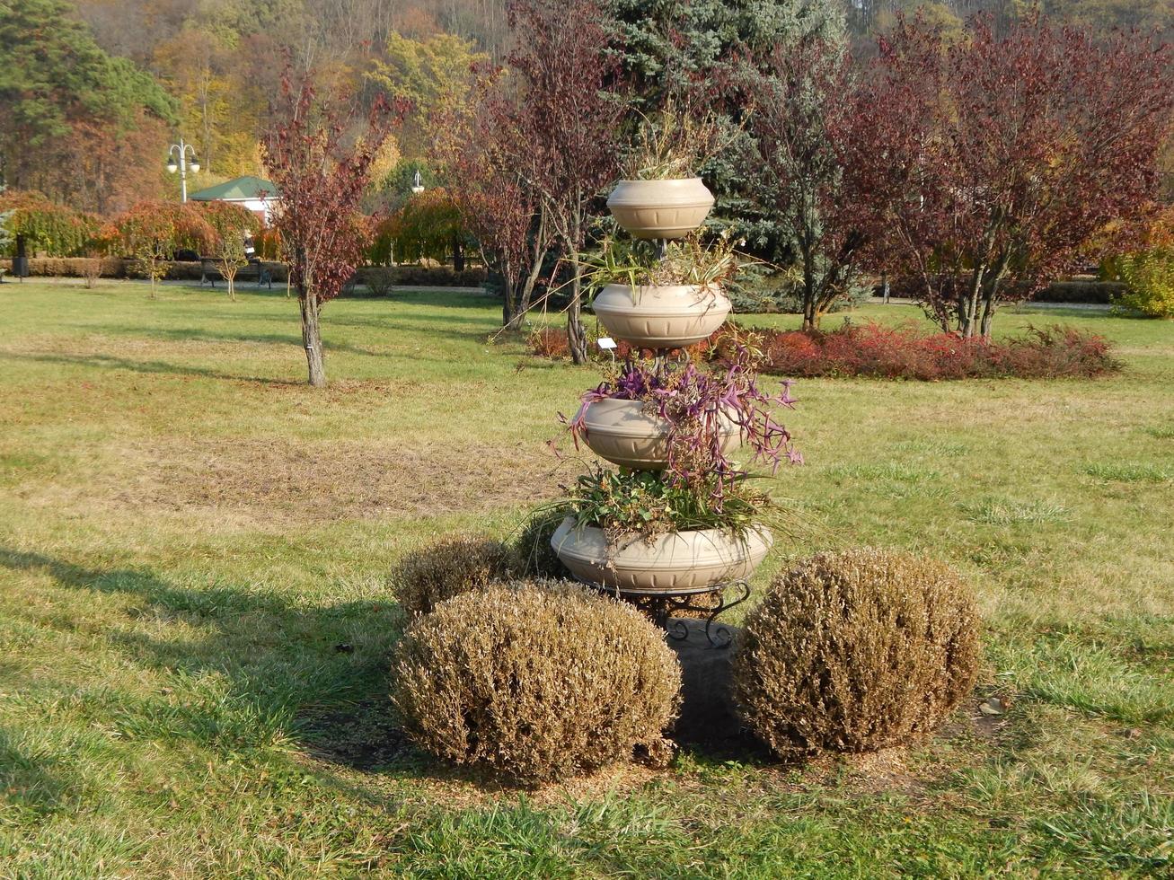 Landscaping garden in park art photo