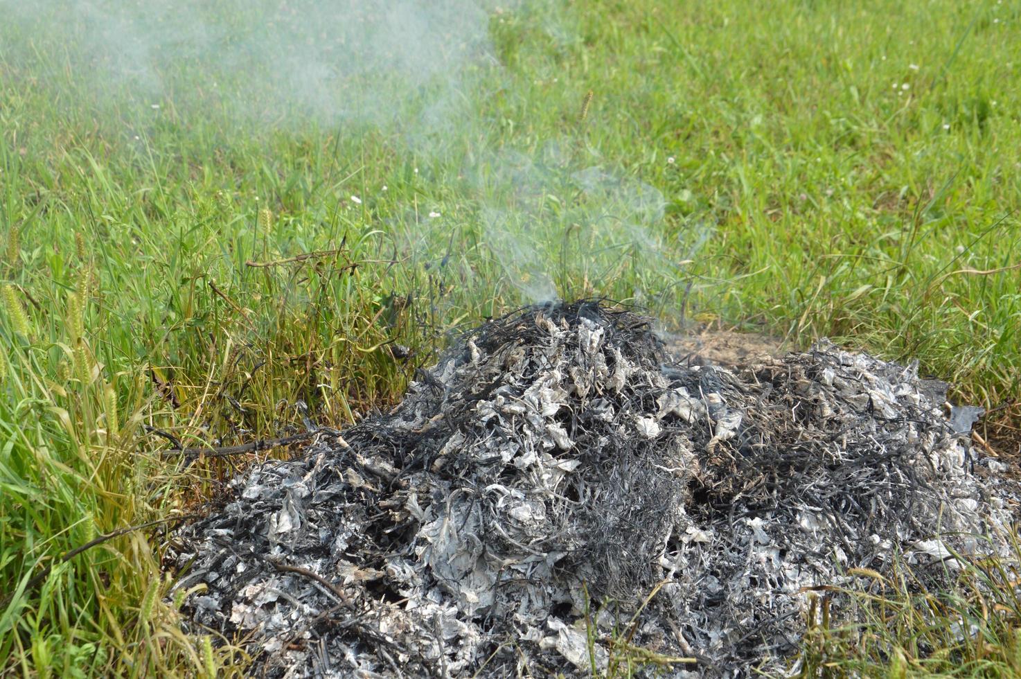 A bonfire with dry plants is burning on a land plot with fire and smoke photo