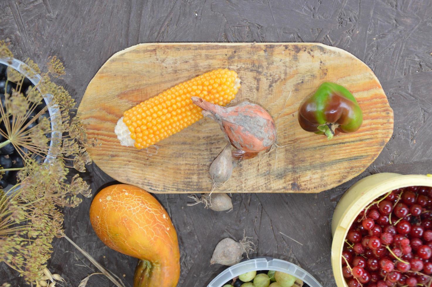 Still life of harvested berries and vegetables in the garden photo