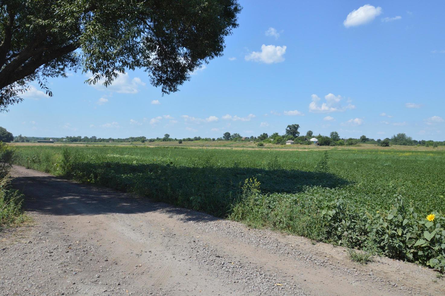 panorama de paisajes de campos y carreteras en el pueblo foto