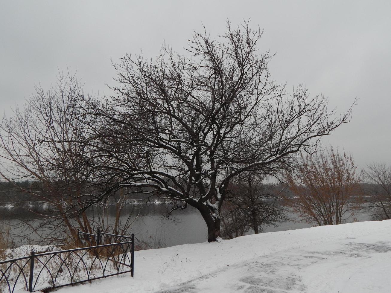 Winter landscape of snow white and the objects of the landscape photo