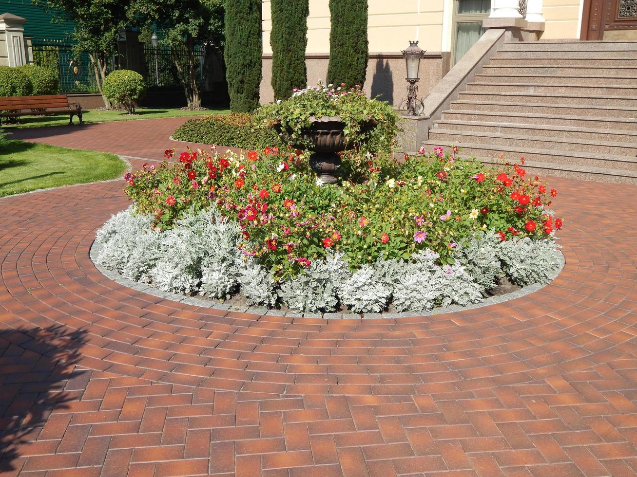 diseño de paisaje y composición de plantas de jardín. foto