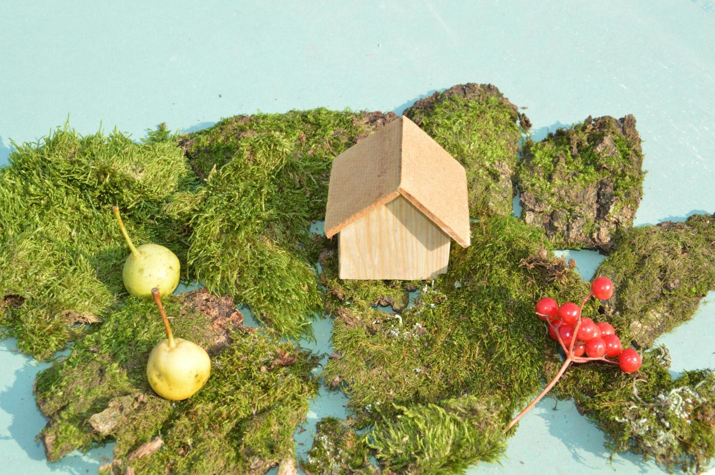 Wooden model of a house and family photo