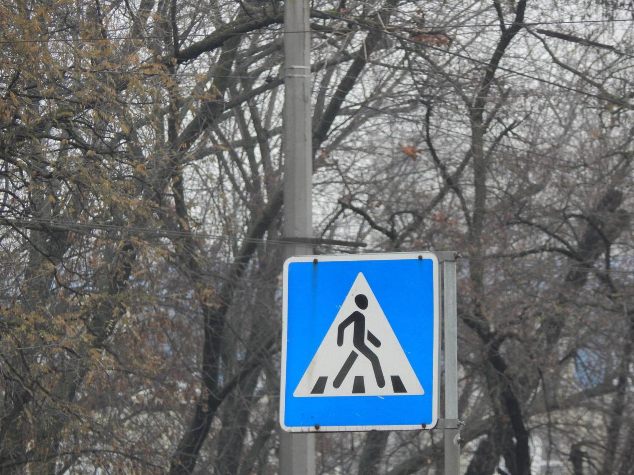 Road signs indicating the direction of movement of cars and pedestrians photo