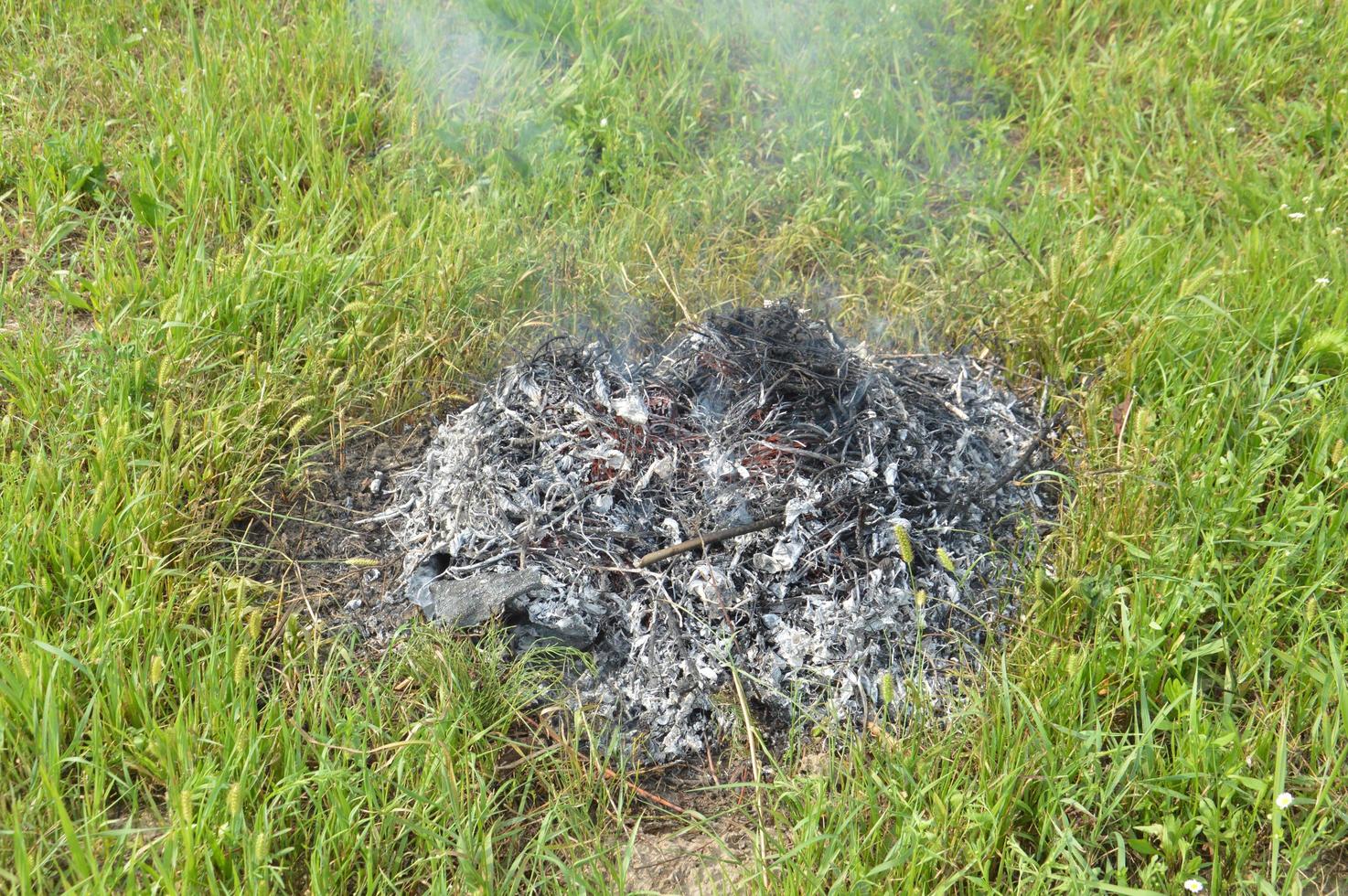 A bonfire with dry plants is burning on a land plot with fire and smoke photo