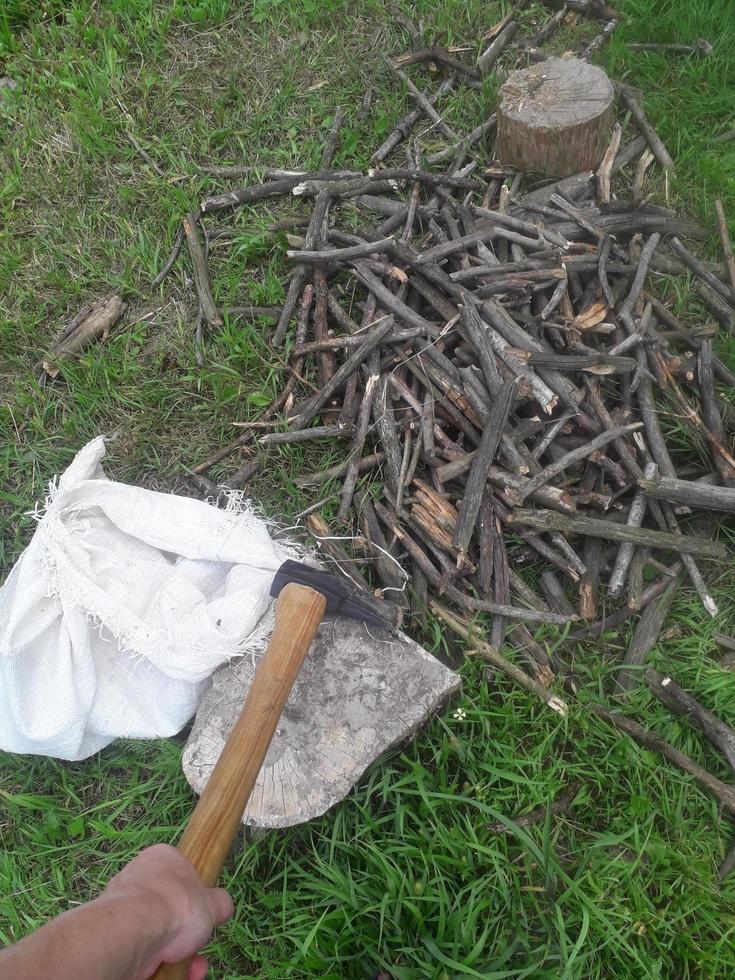 Recogiendo leña para encender la estufa del bosque. foto