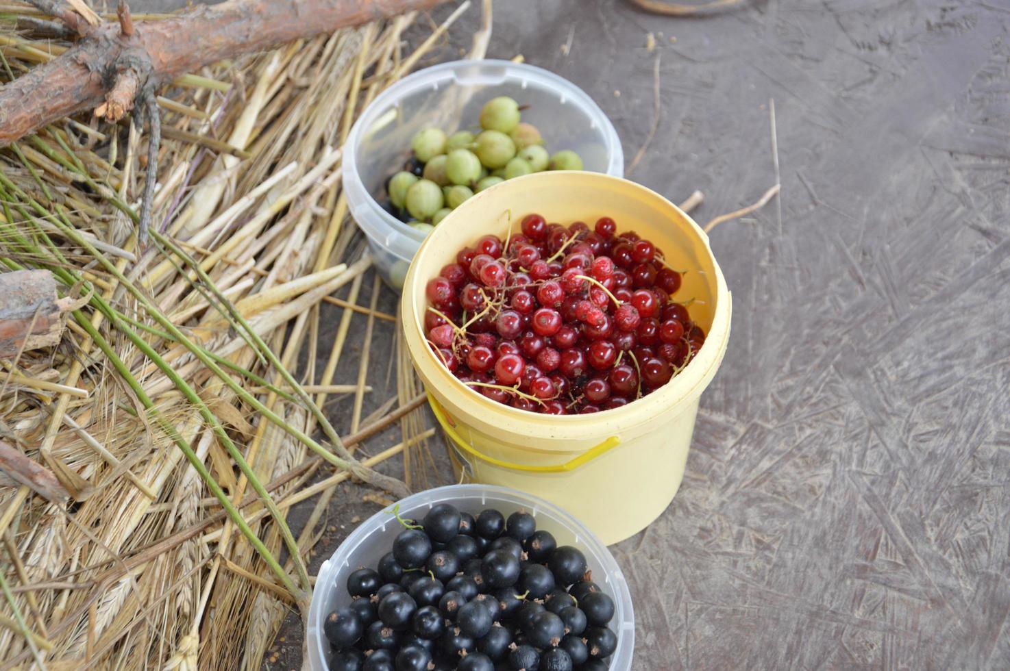 Bodegón de bayas y hortalizas cosechadas en el jardín. foto