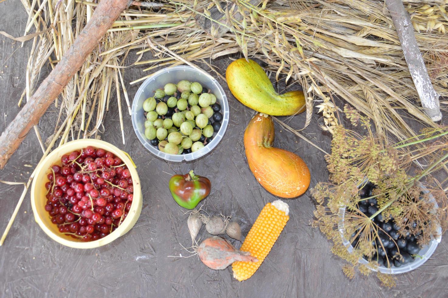 Still life of harvested berries and vegetables in the garden photo