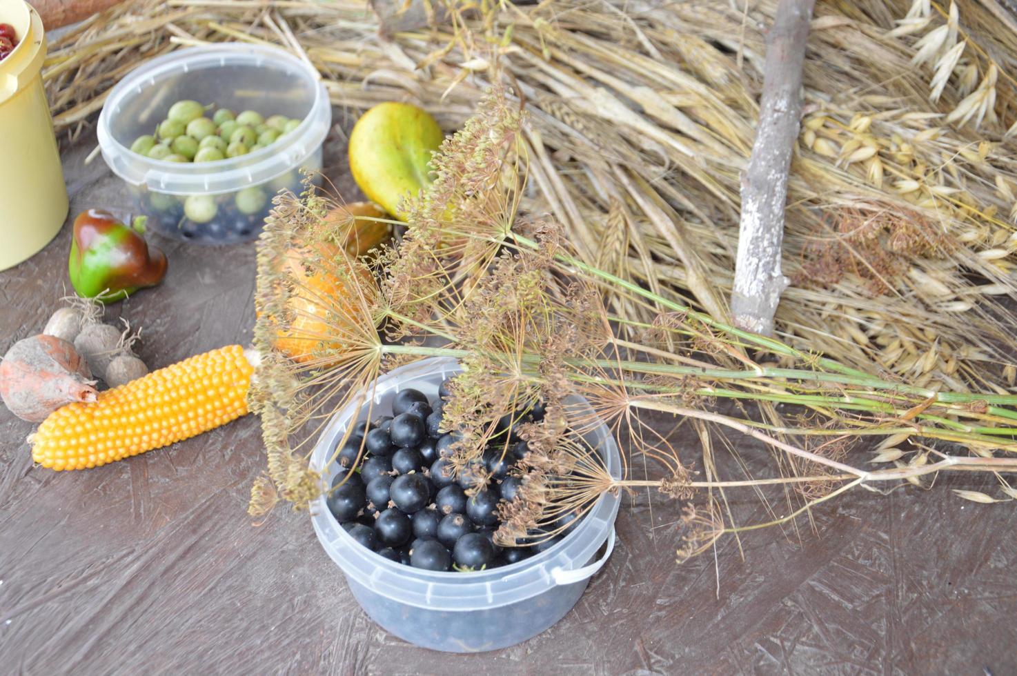 Still life of harvested berries and vegetables in the garden photo