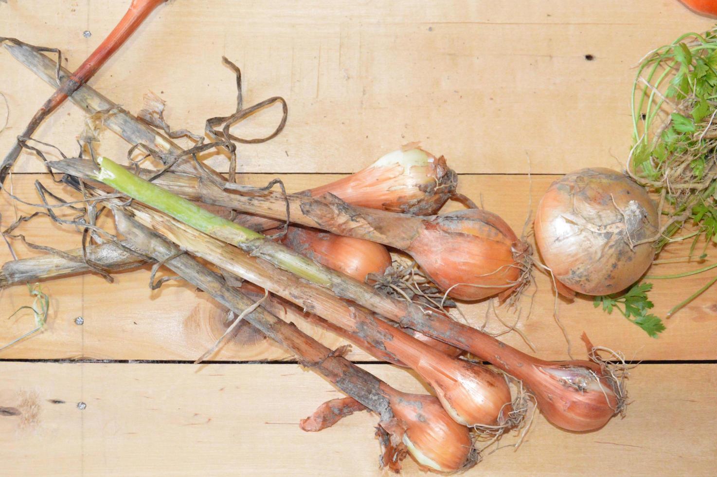 Vegetables grown independently in the country photo