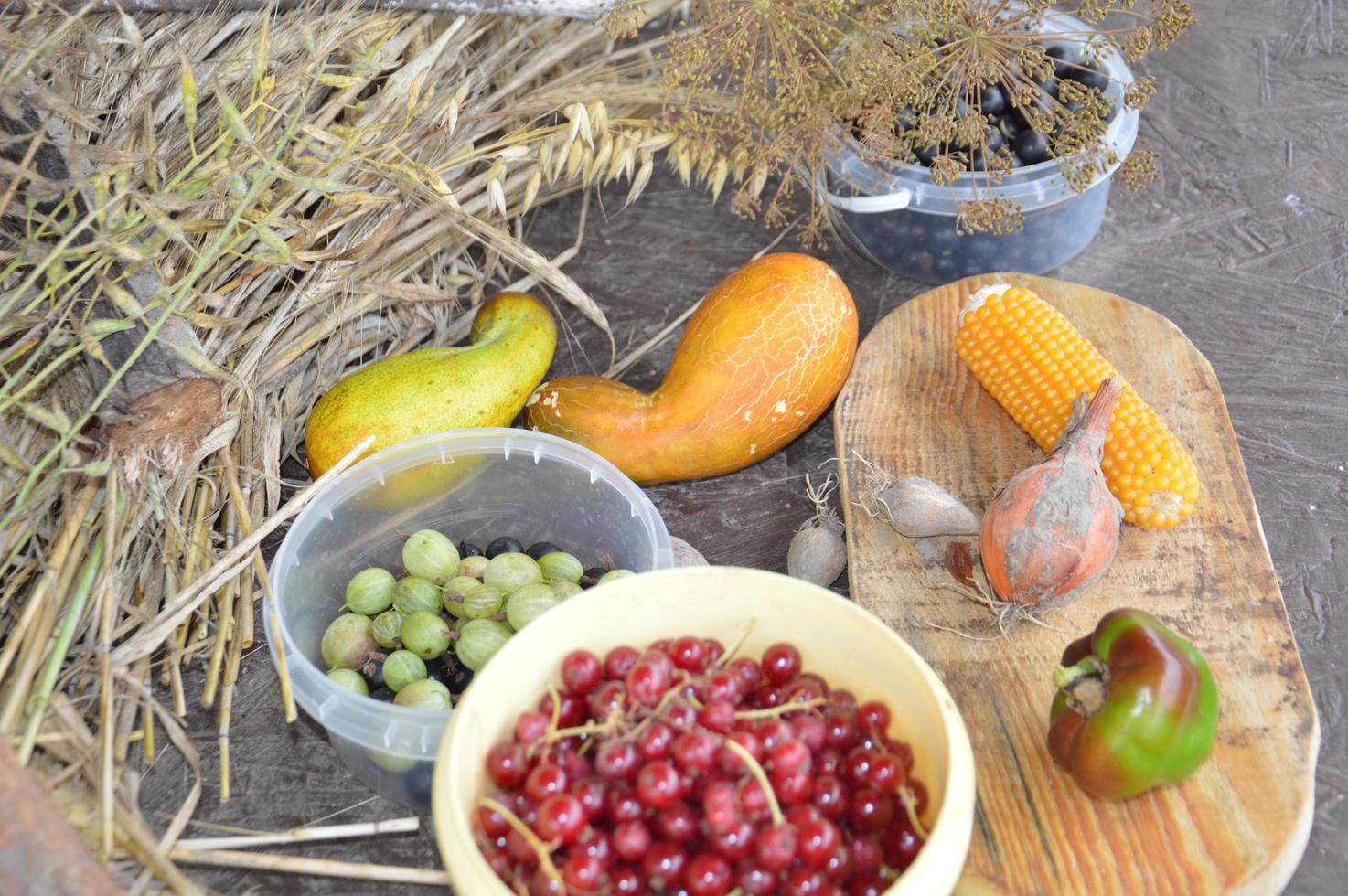 Still life of harvested berries and vegetables in the garden photo