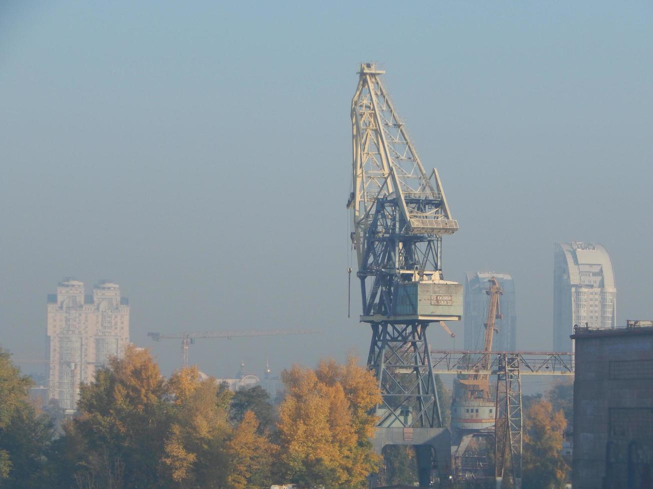 Port cranes for cargo transportation in the port logistics complex photo