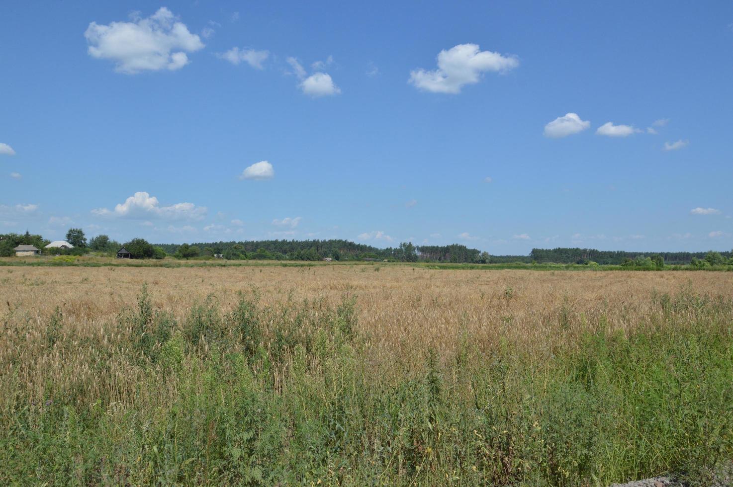 panorama de paisajes de campos y carreteras en el pueblo foto