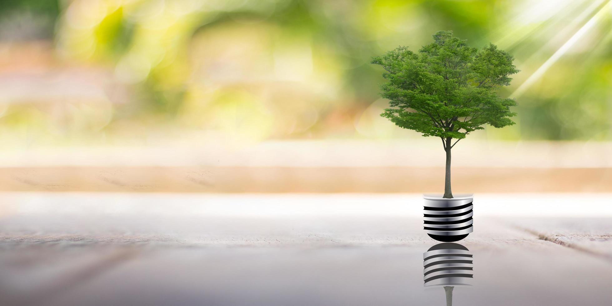 Plant Growing with light bulb and business growth concept, finance and investment concept, Advertising coins of finance and banking, ecology, save world photo