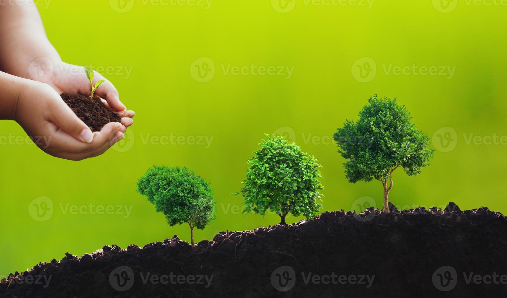 Concept of environmental stewardship and World Environment Day photo