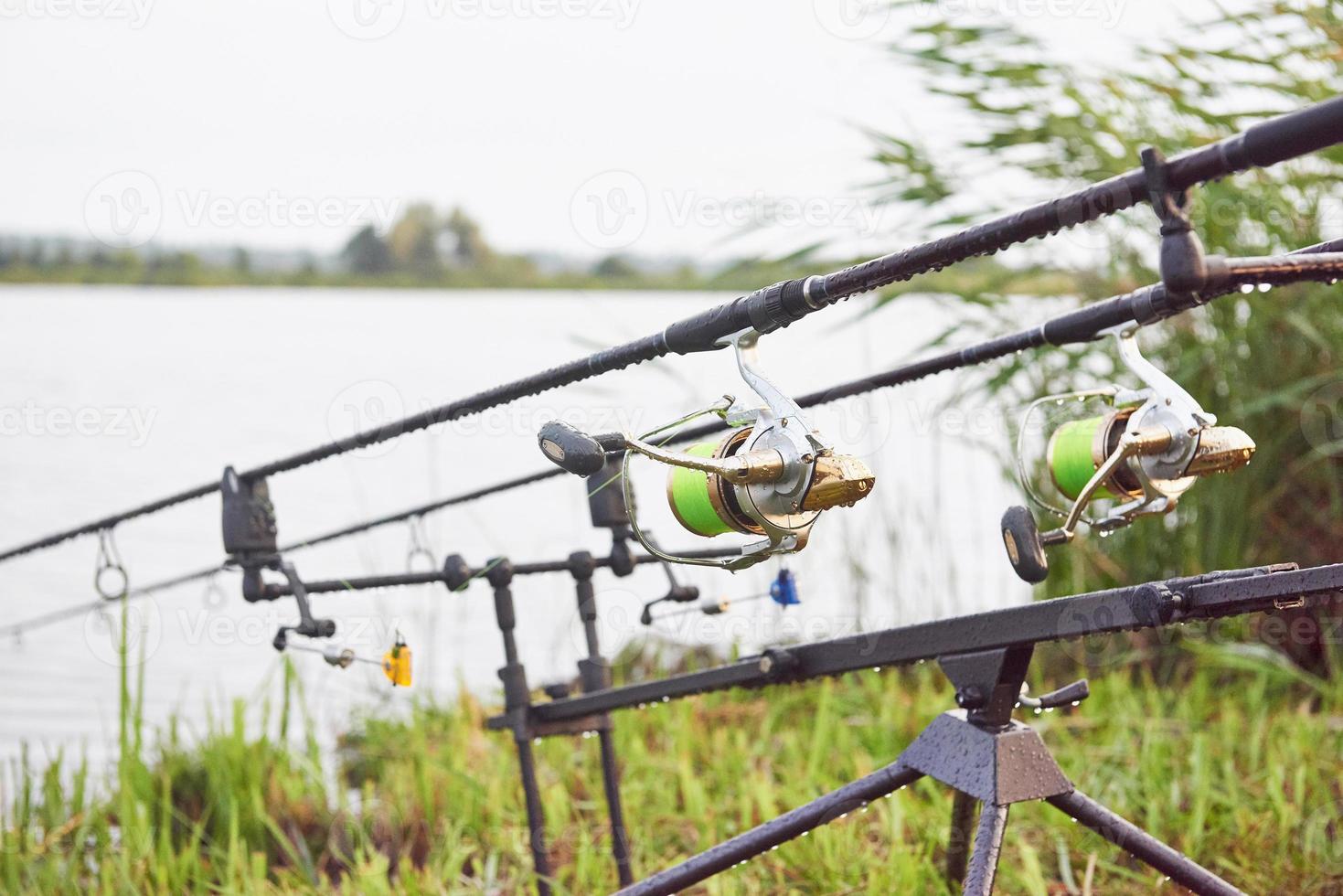 Carp fishing rods standing on special tripods. Expensive coils and a radio system of crochet photo