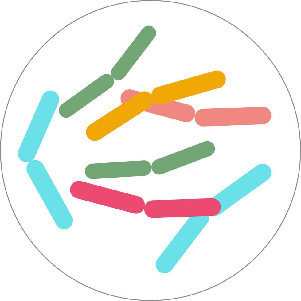 Petri dish with bacteria on white background vector