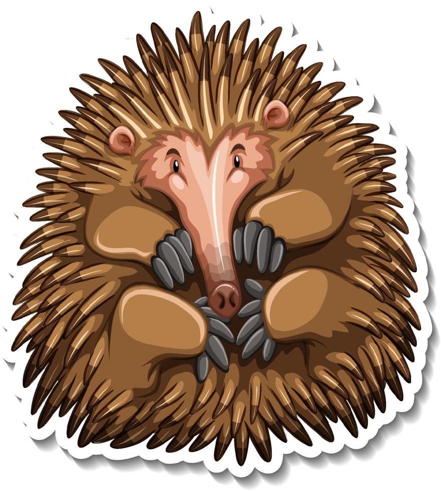 Echidna cartoon character on white background vector