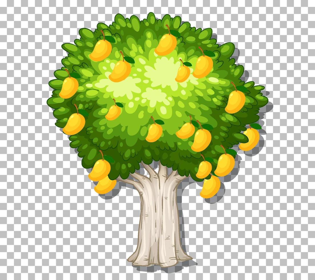 Mango tree on grid background vector