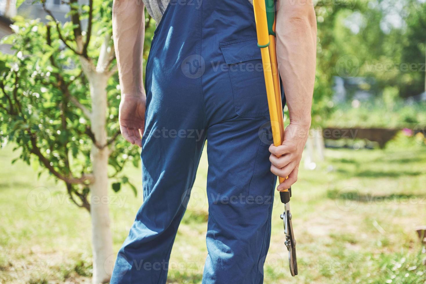 un jardinero profesional en el trabajo corta árboles frutales. foto