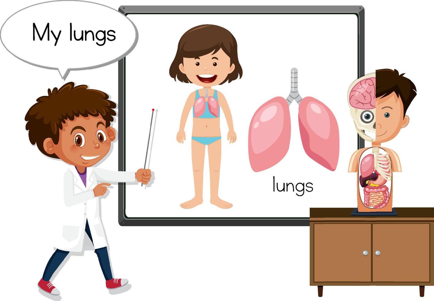 Young doctor explaining lungs organ vector