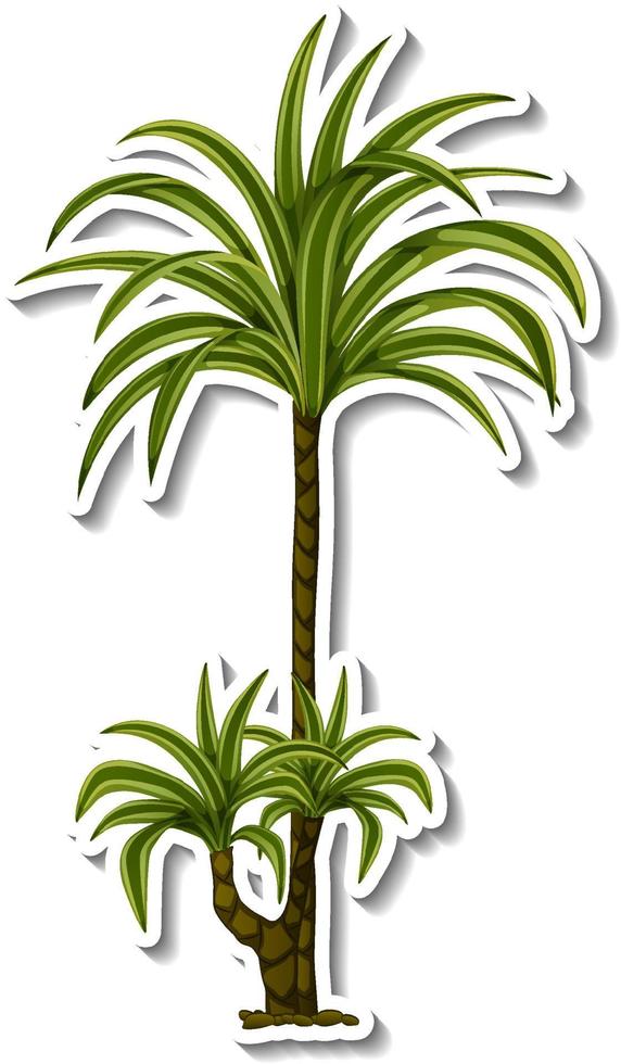 Tropical tree sticker on white background vector