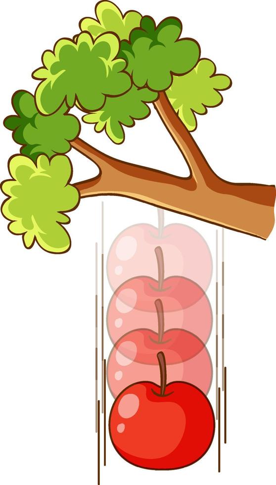 Una manzana cayendo de un árbol sobre fondo blanco. vector