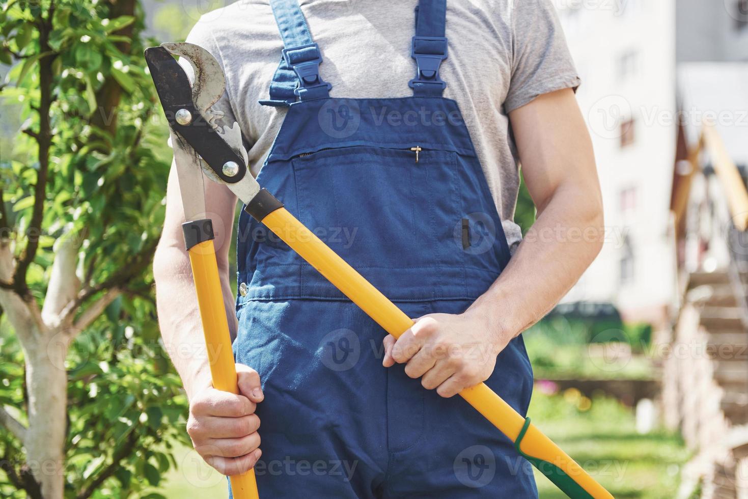 un jardinero profesional en el trabajo corta árboles frutales. foto