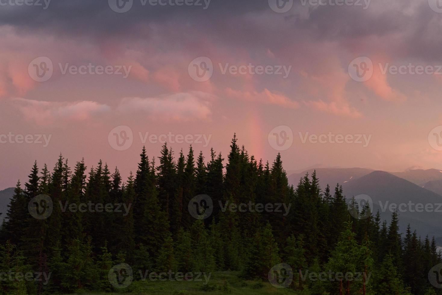 Amanecer de color en la ladera de la montaña boscosa con niebla foto