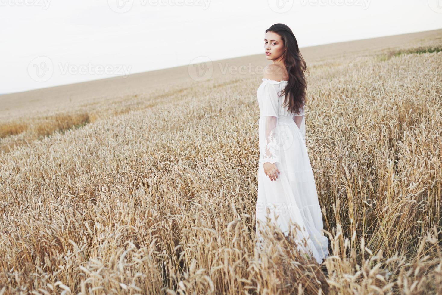 hermosa chica en un campo de trigo con un vestido blanco, una imagen perfecta en el estilo de vida foto