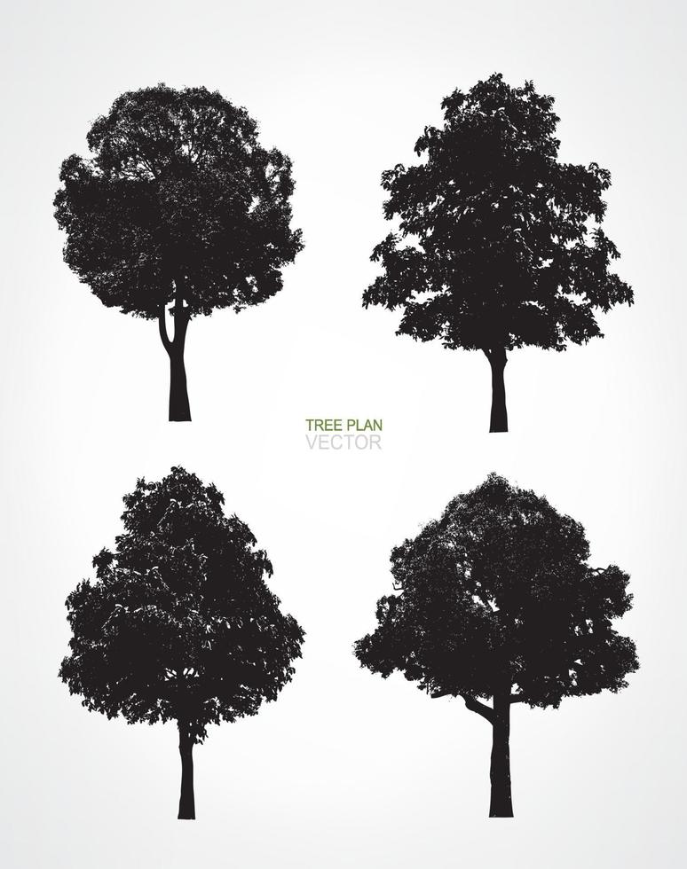 Set of tree silhouettes isolated on white background for landscape design and architectural decoration. Vector. vector