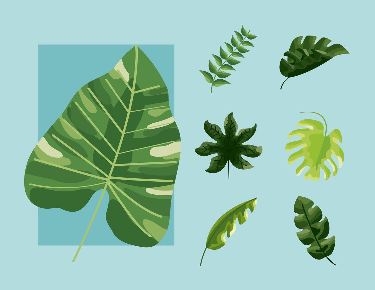 siete hojas botánicas vector