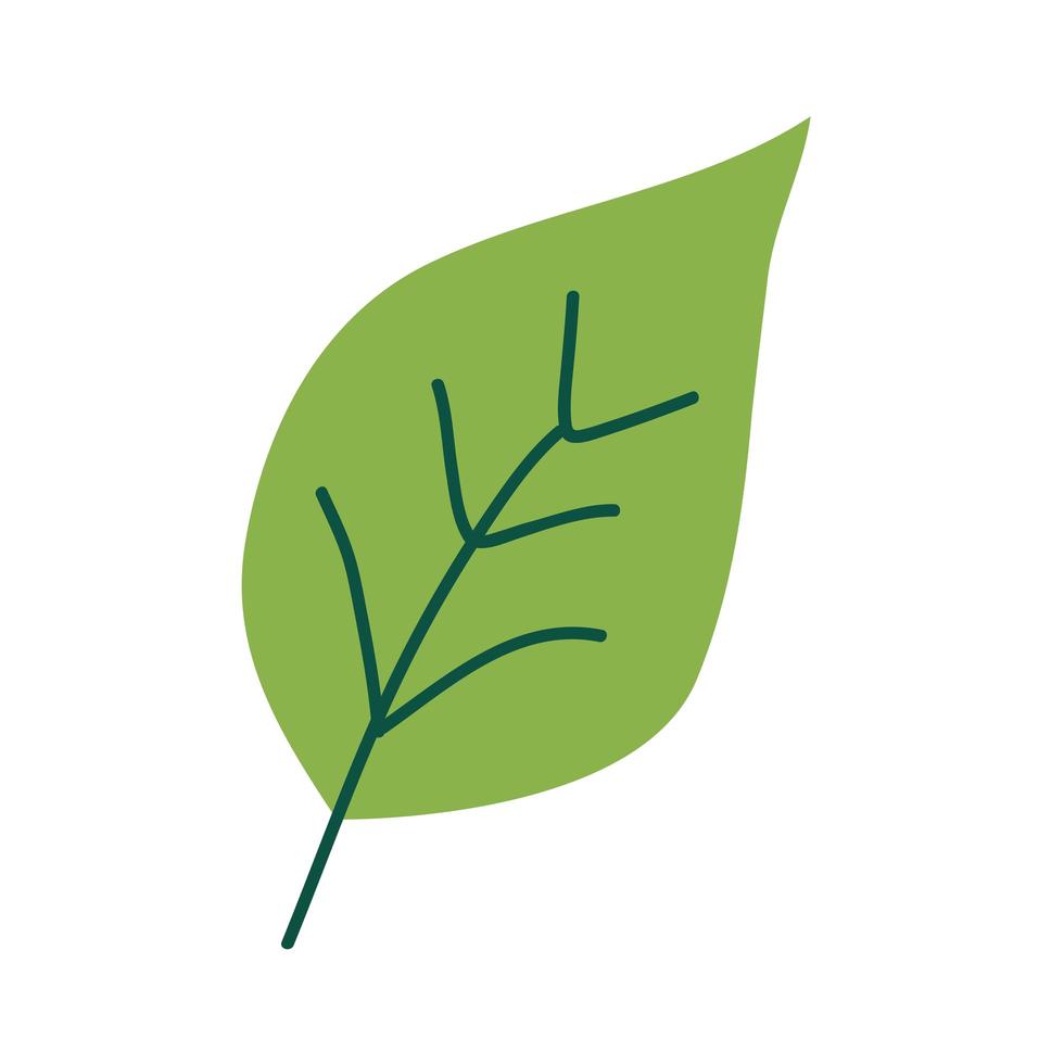 green leaf plant vector