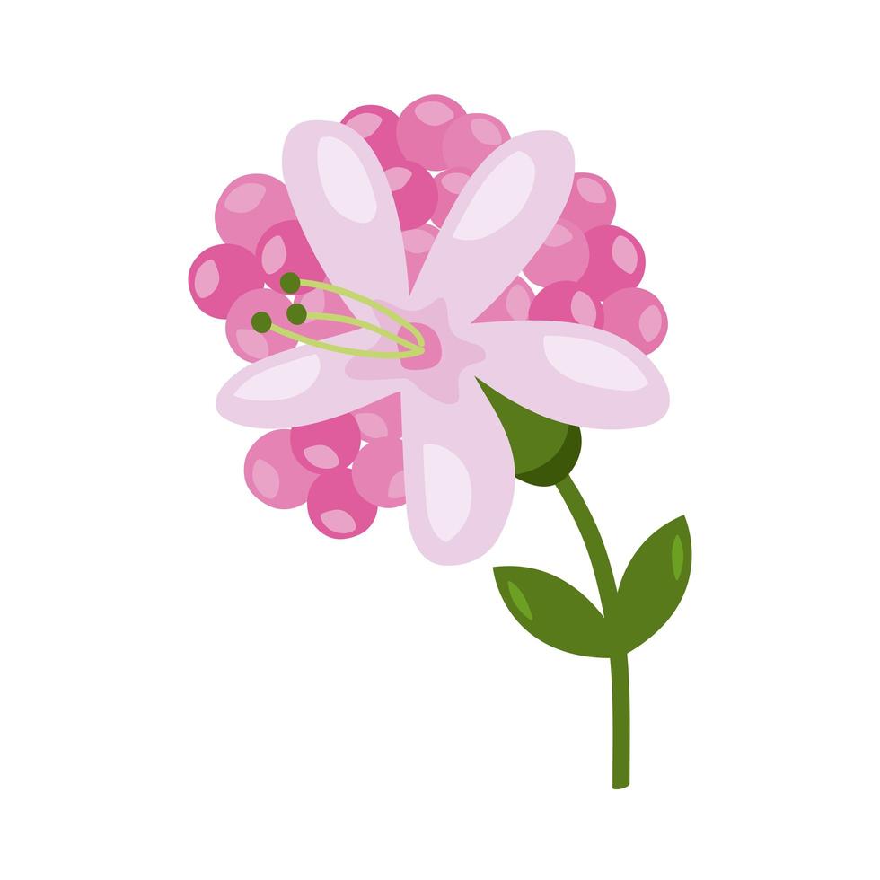 pink flowers and leafs vector